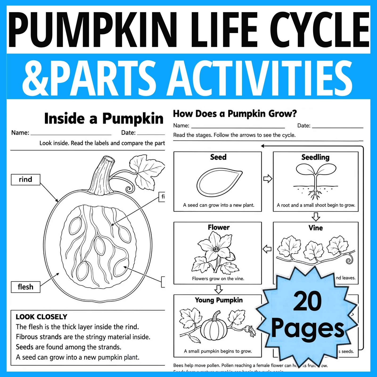 Pumpkin Life Cycle & Parts of a Pumpkin Worksheets Fall Science Activities K–2