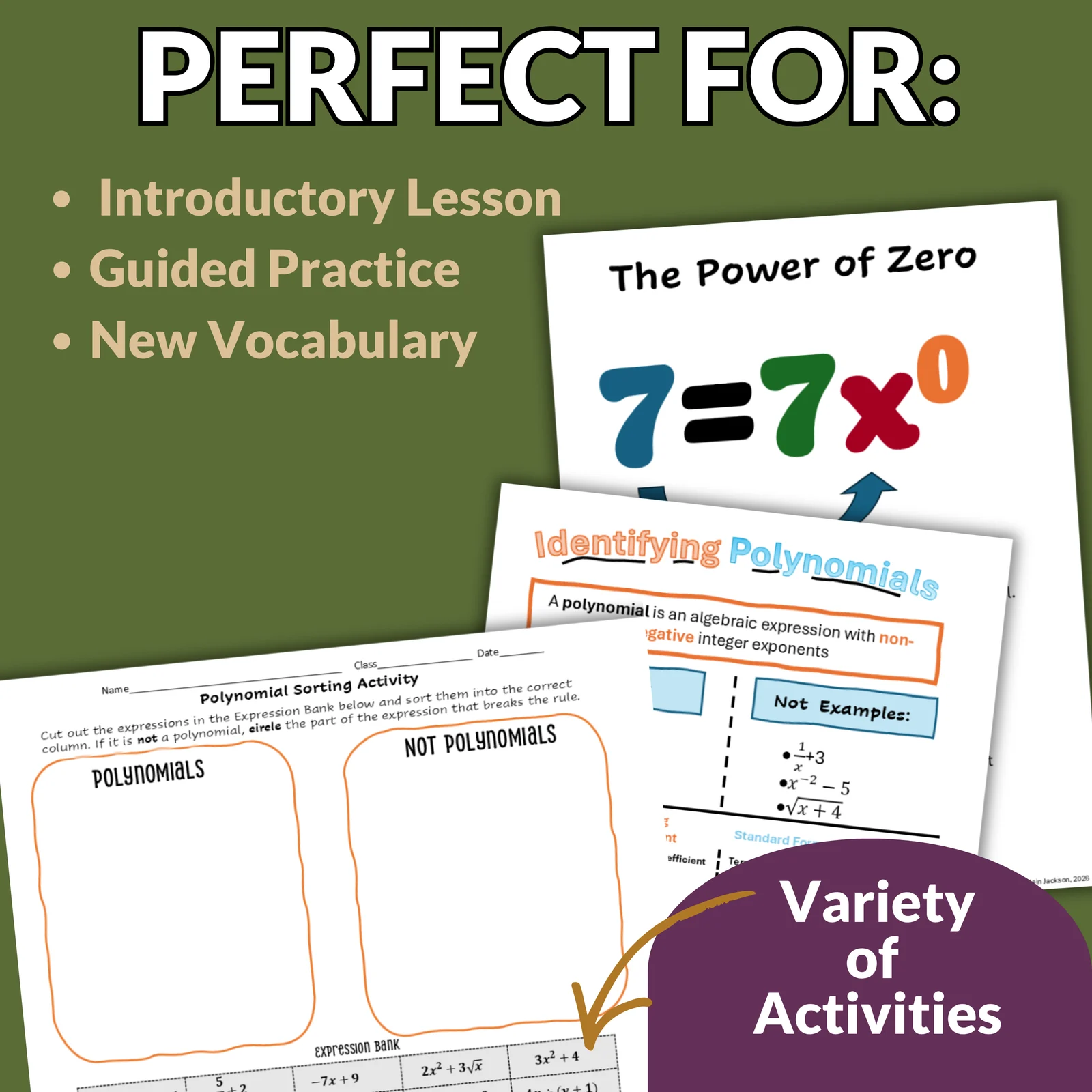 Identifying Polynomials | Polynomial vs Not a Polynomial Activities | Algebra