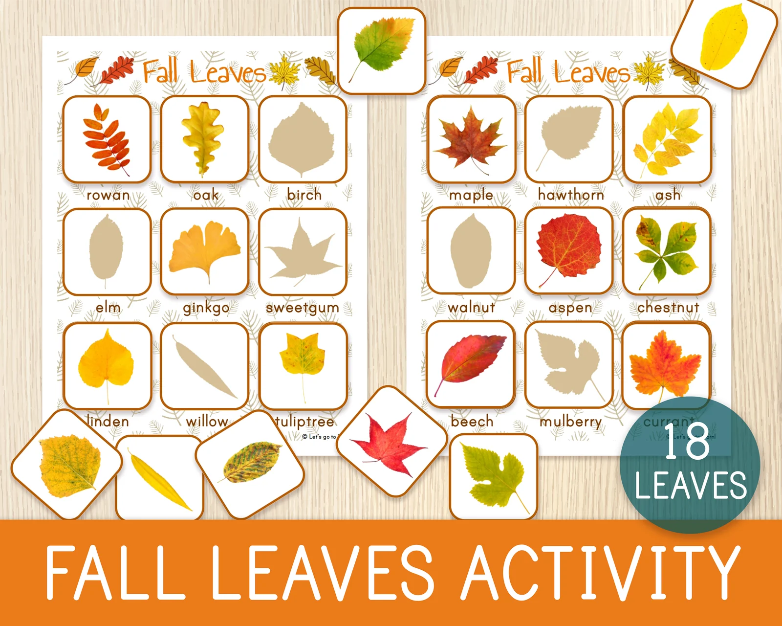 Fall Leaf Matching Activity —  Autumn Leaves Recognition — Shadow Matching Game — Fall Matching Game