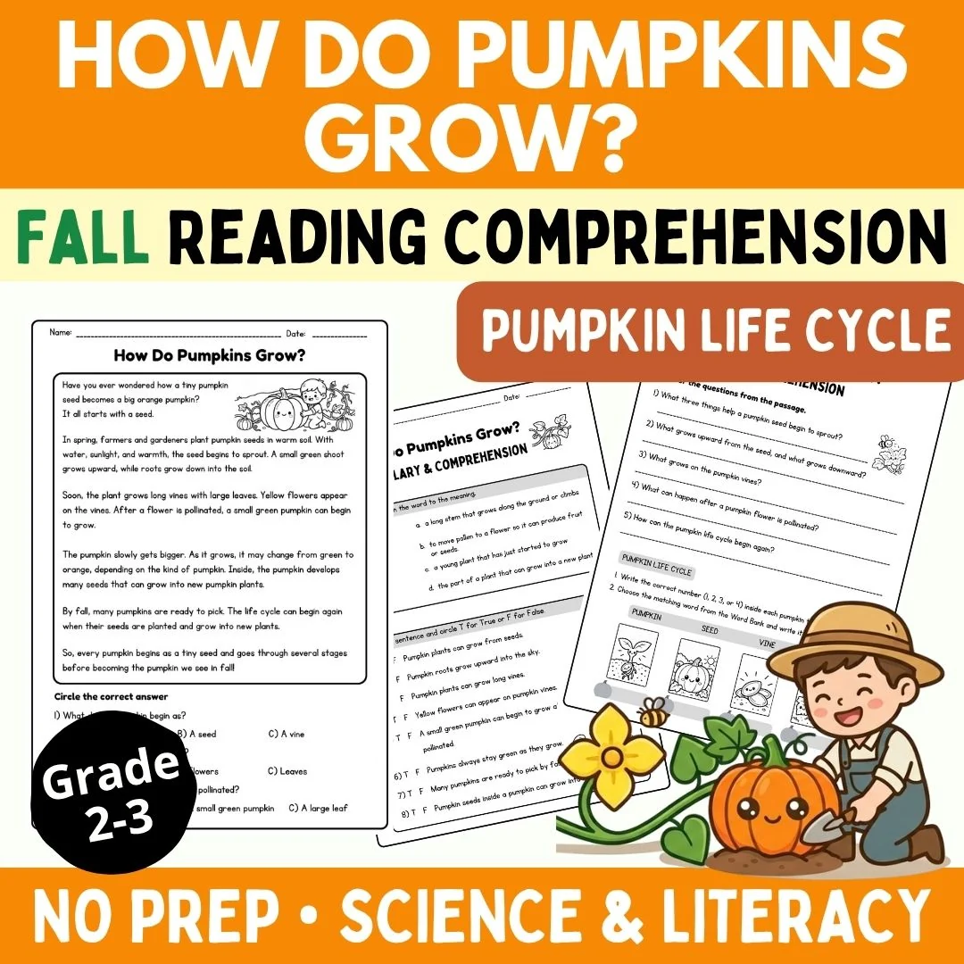Pumpkin Life Cycle Reading Comprehension | How Do Pumpkins Grow? | Grade 2-3 ELA