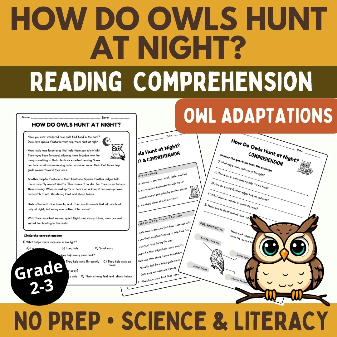 Owl Adaptations Reading Comprehension | How Do Owls Hunt at Night? | Grades 2-3