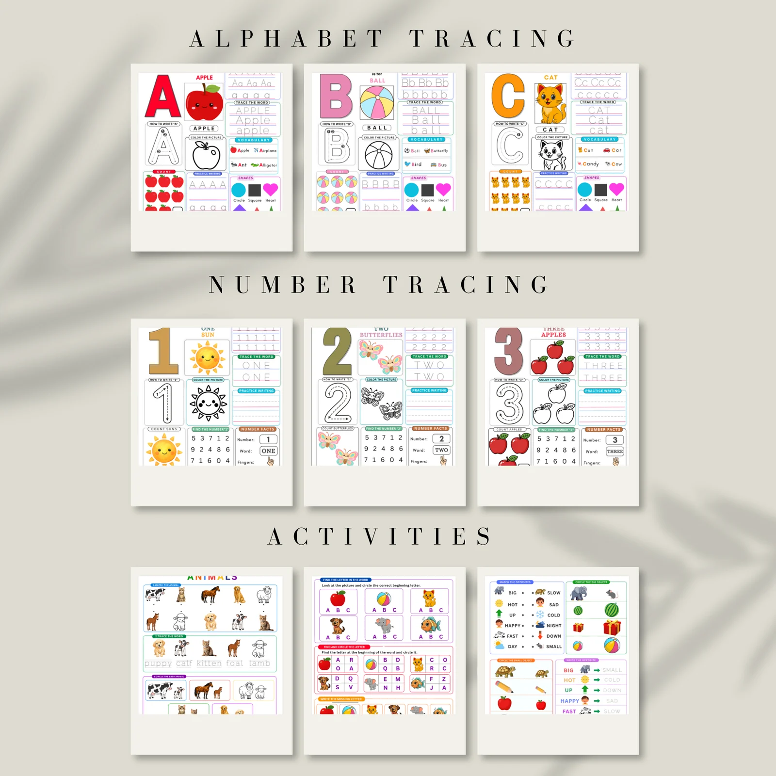Pedri Studio – Printable Educational Workbooks for Kids