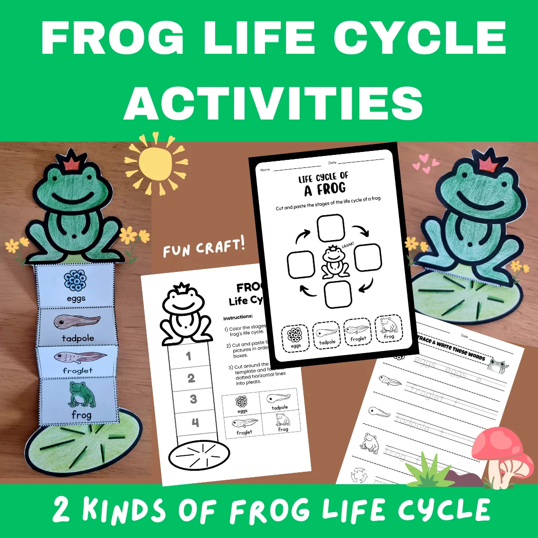 Life Cycle of a Frog Activities | Frog Life Cycle Craft | Kindergarten Science