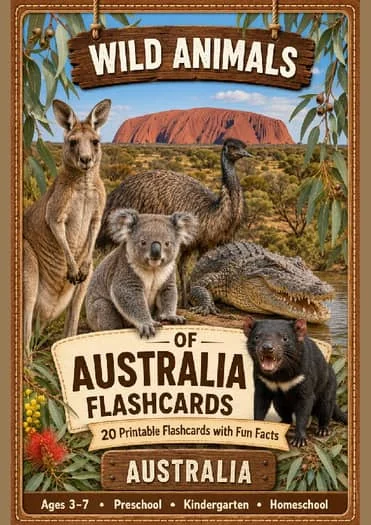 Wild Animals Flashcards 20 Australian Printable Animal Cards with Pronunciation